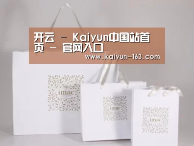 项目名称十一