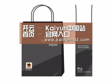 项目名称十四
