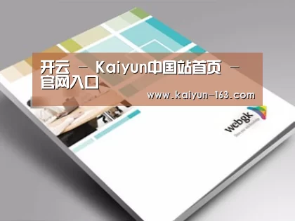 项目名称九